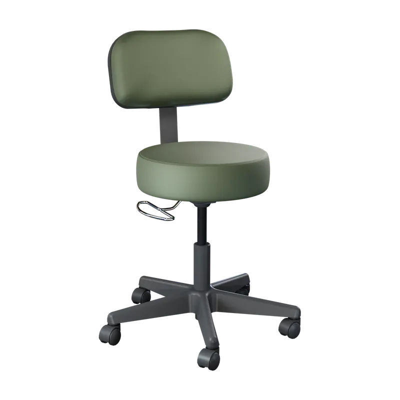 22500 Value-Plus-Stool with Backrest Ivy
